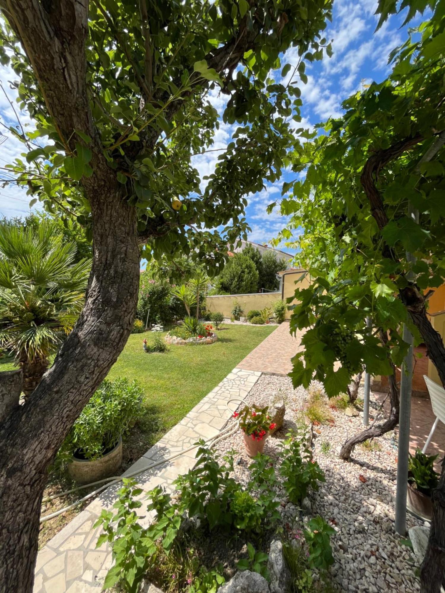 Apartments And Rooms Markovski Palit Екстер'єр фото